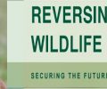 Reversing America’s Wildlife Crisis