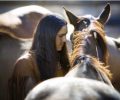 Horses came to American West by early 1600s, study finds